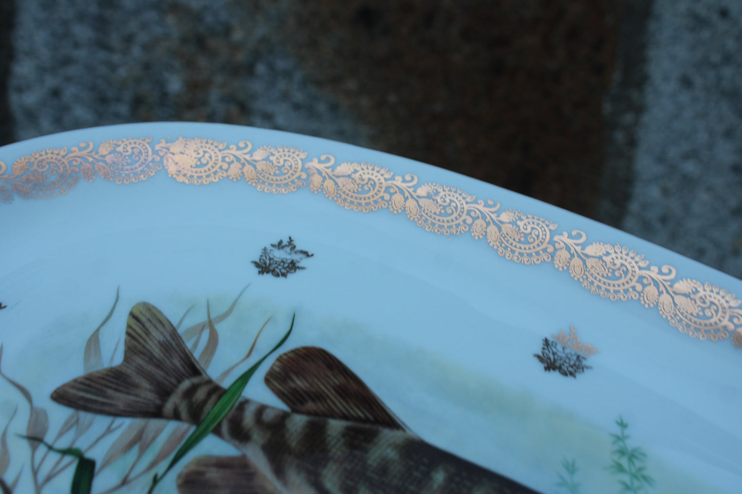 Grand plat en porcelaine française L.C – Brochet peint & frise dorée