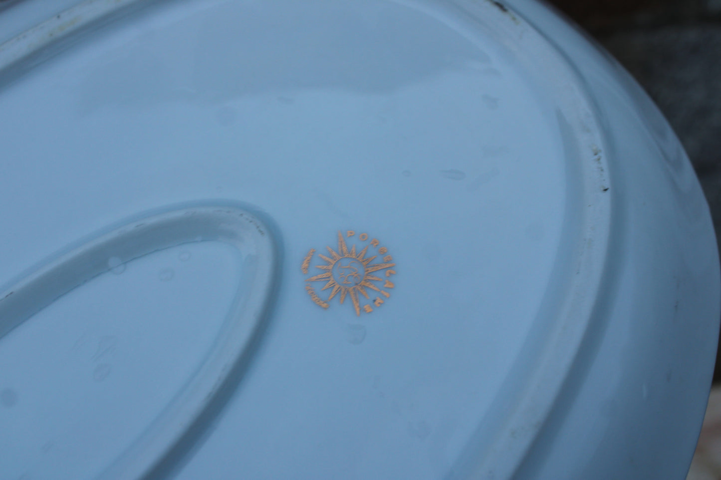 Grand plat en porcelaine française L.C – Brochet peint & frise dorée